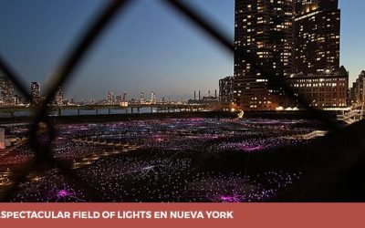 El nuevo jardín de luces de Field of Light CERRADO DEFINITIVAMENTE
