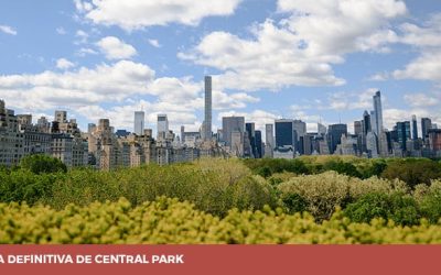 Guía definitiva de Central Park Nueva York