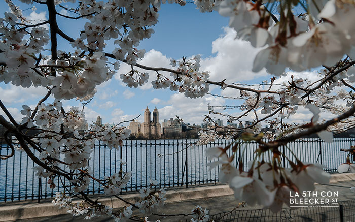 Guia de Central Park jacqueline kennedy onassis reservoir